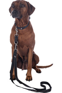 2023 HKM Dog Training Leash 13729 - Black